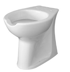Inodoro adaptado